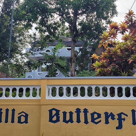Villa Butterfly Moragalla Exteriör bild